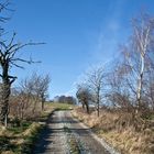 vom winter der ein frühling sein will