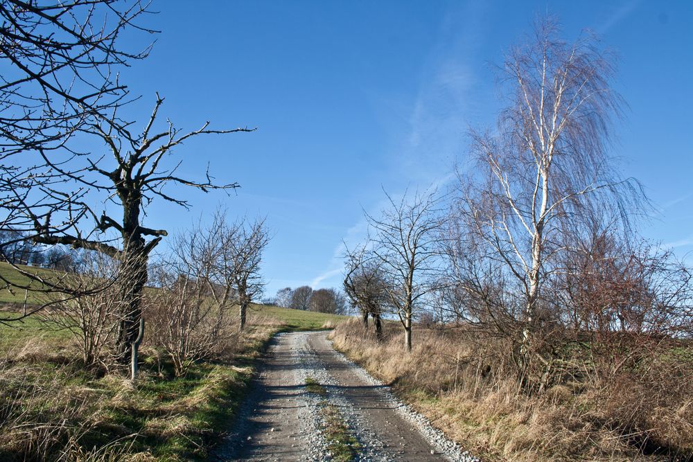 vom winter der ein frühling sein will