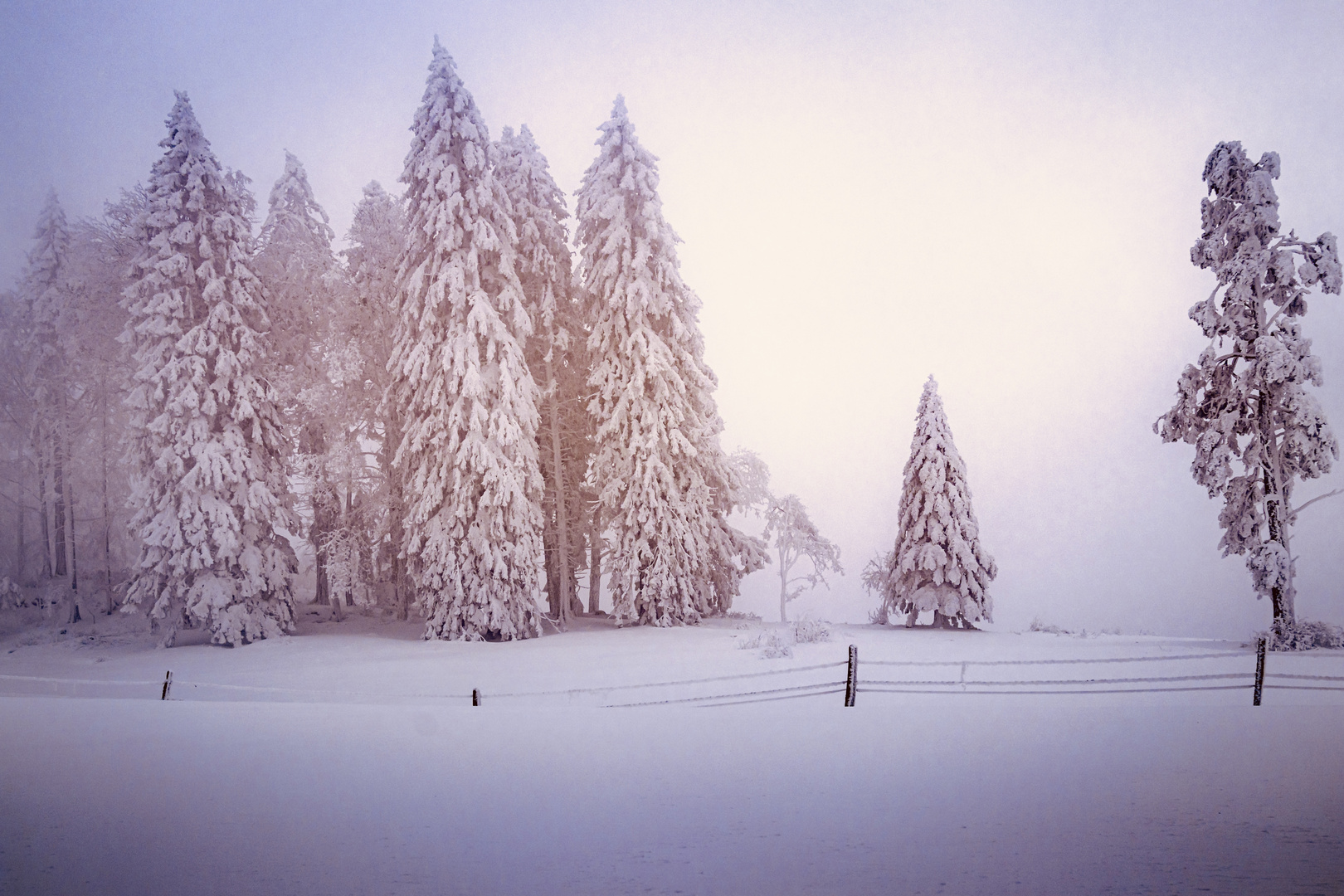 Vom Winter geträumt 