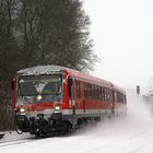 Vom Winter gezeichnet...