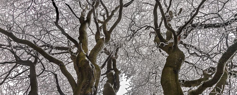 VOM WINTER GLEICH IN DEN HOCHSOMMER?