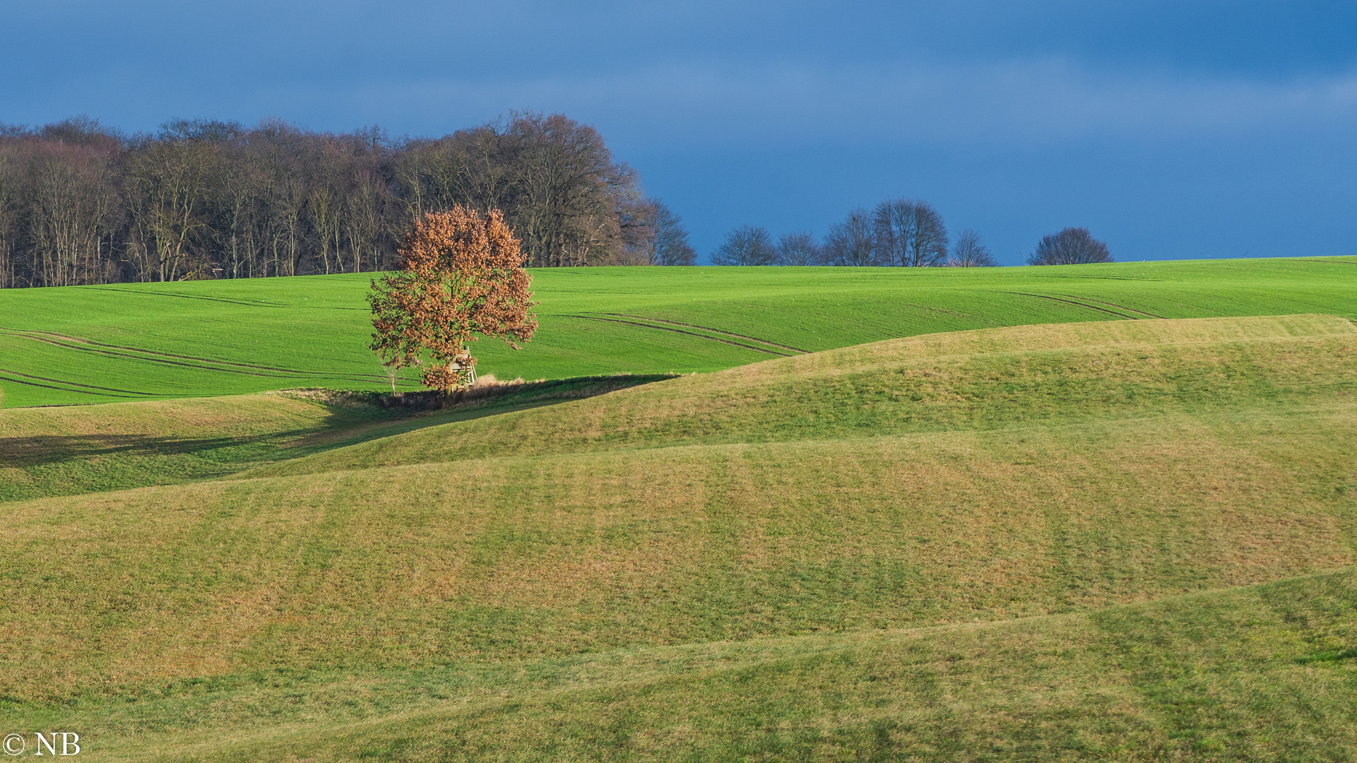 "Vom Winter keine Spur 2023"