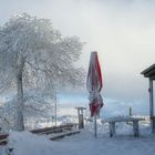 vom Winter überrascht...