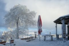 vom Winter überrascht...