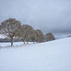 vom Winter überrascht....