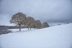 vom Winter überrascht....