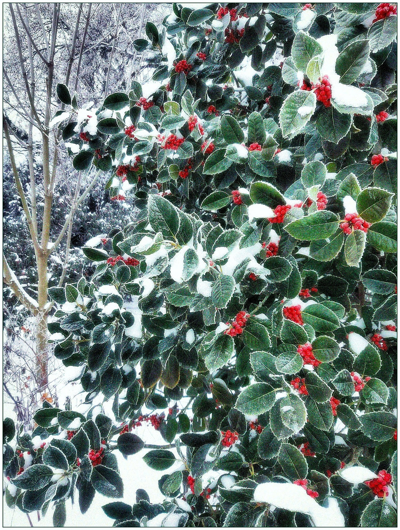 Vom Winter überrascht