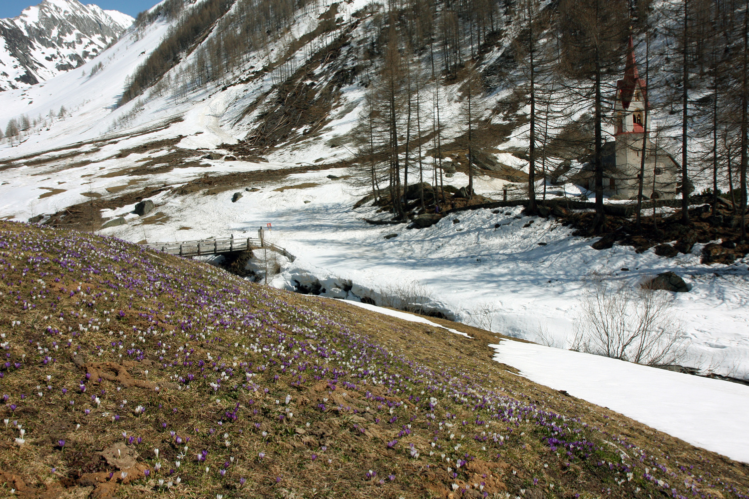 Vom Winter zum Frühling