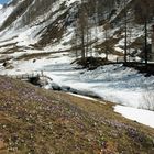 Vom Winter zum Frühling