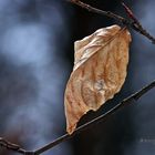 " Vom Winter zum Frühling "