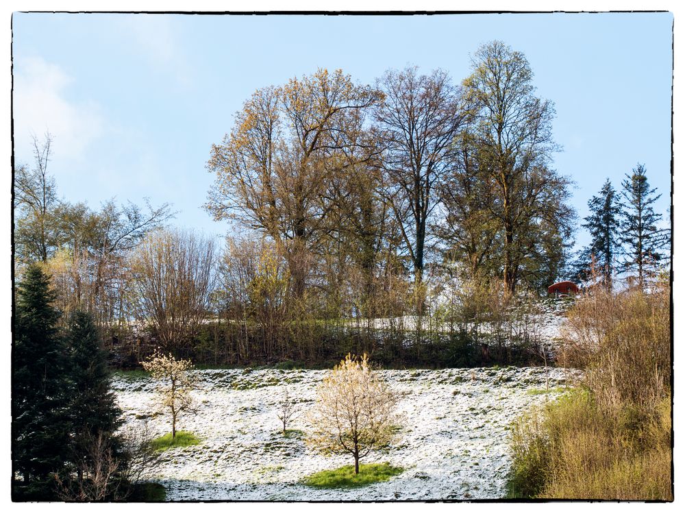 Vom Wintereinbruch im Frühling