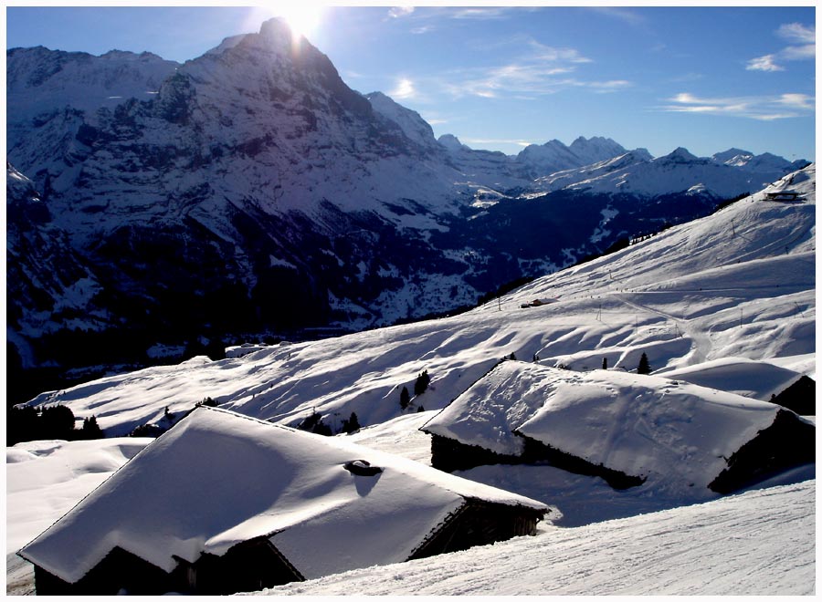 ... vom Winterschlaf erwacht ......