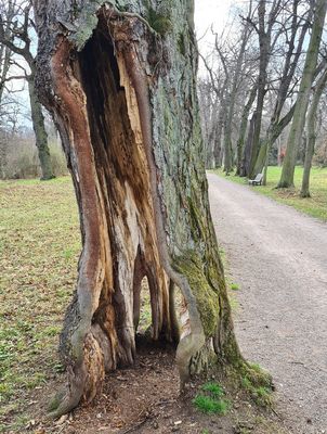 Vom Zahn der Zeit gezeichnet .