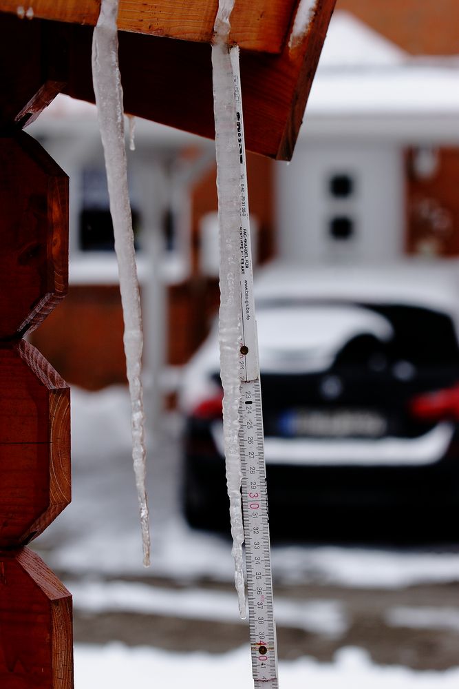 Von 0 auf 38cm in 24 Stunden...