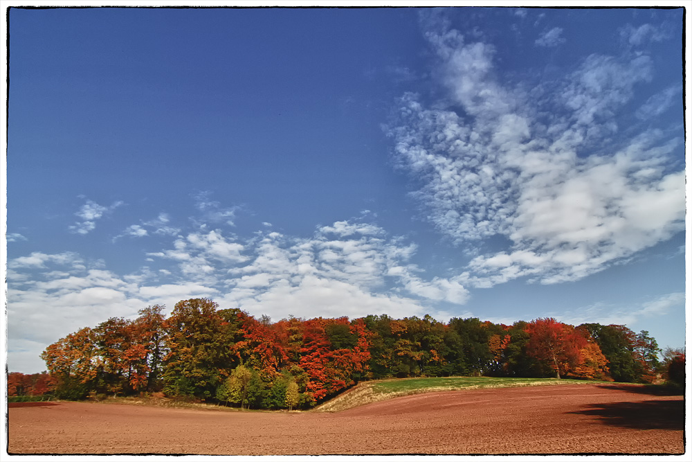 Von allen Jahreszeiten treibt es der Herbst am buntesten