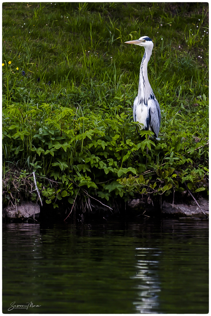 von anderen Ufer