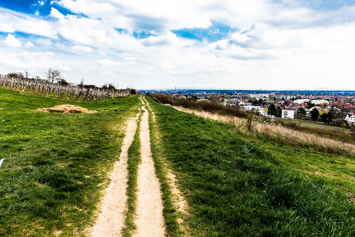 Von Baden auf dem Wiener-Hochquellenwasserweg nach Wien