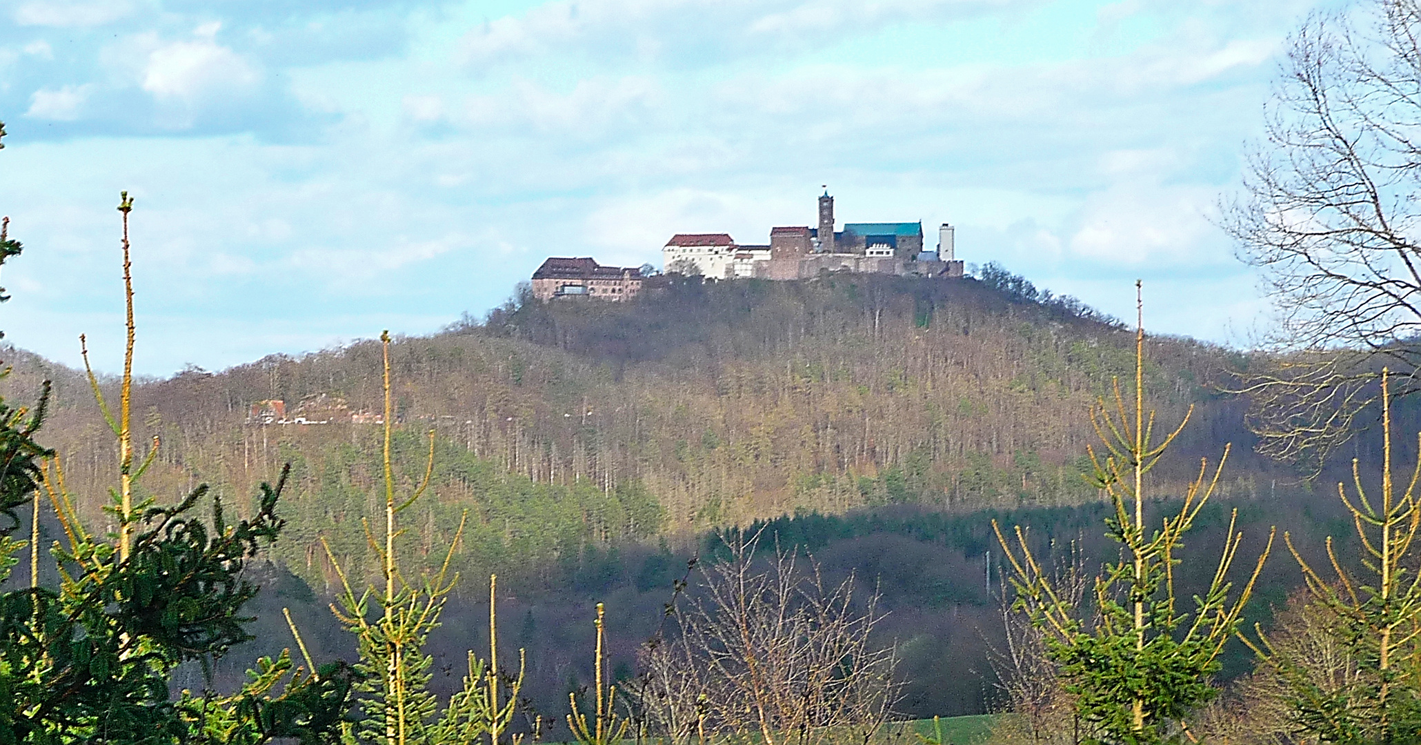 Von Berg zu Berg über grüne Tannenspitzen