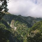 von bergen, bäumen und wolken