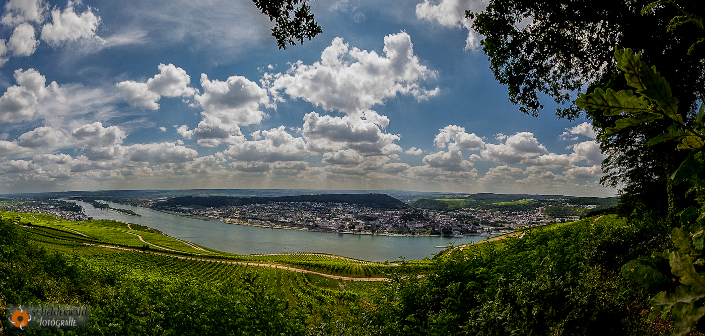 Von Bingen bis Rüdesheim