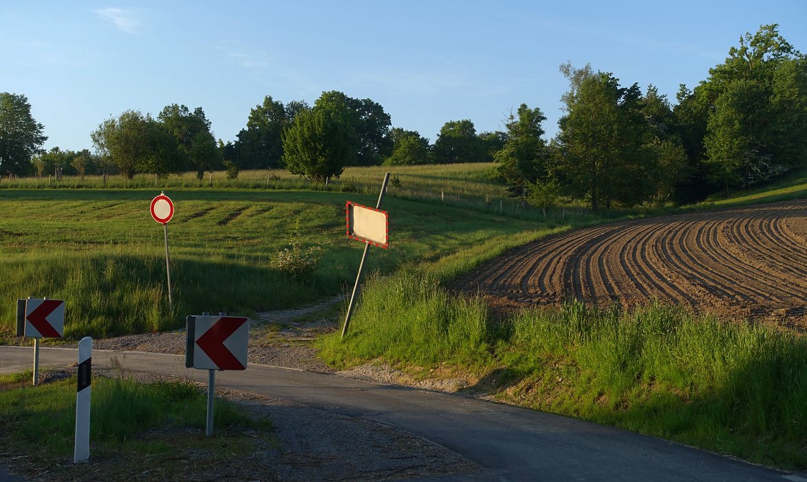 Von blinden Flecken und anderen Weisheiten