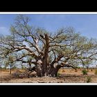 Von Broome nach Kununurra 01