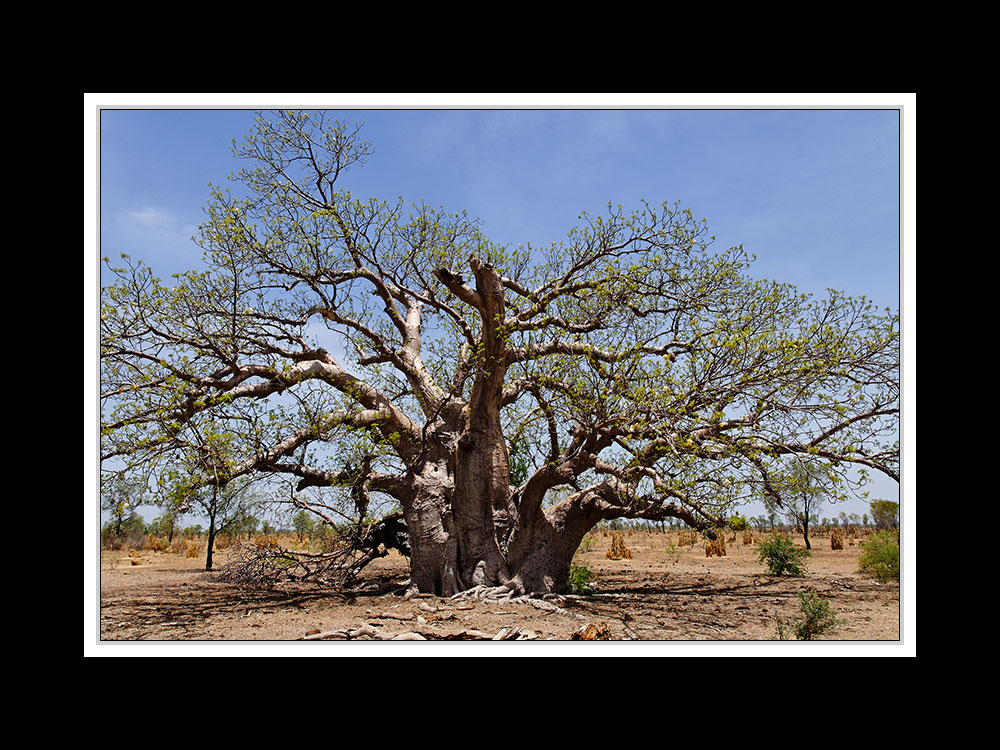 Von Broome nach Kununurra 01