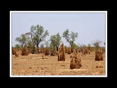 Von Broome nach Kununurra 02