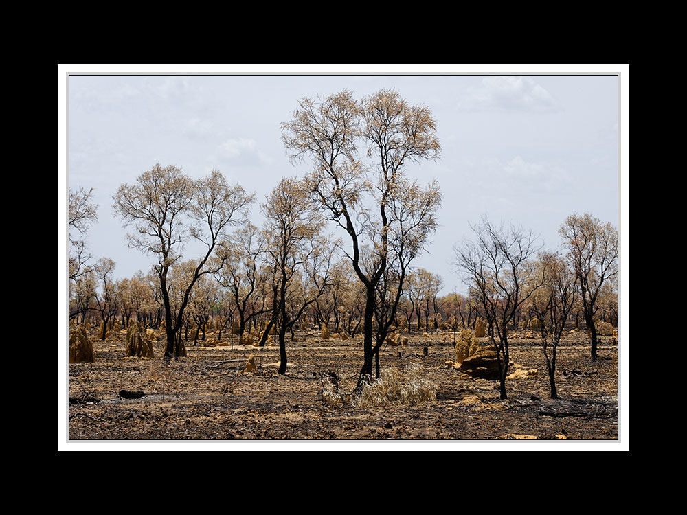 Von Broome nach Kununurra 03