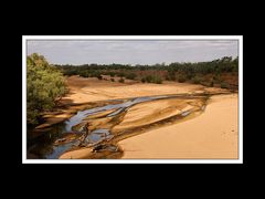 Von Broome nach Kununurra 07