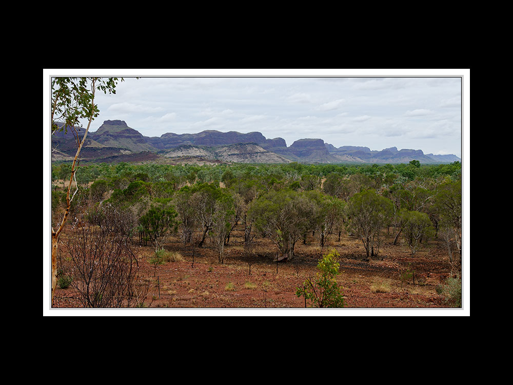 Von Broome nach Kununurra 09