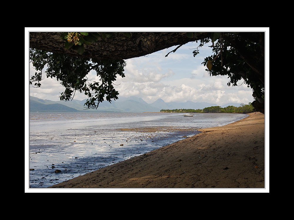 Von Cairns nach Brisbane 03