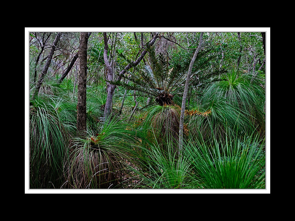 Von Cairns nach Brisbane 14