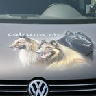 Von Calruna Züchterin Belgische Schäferhunde