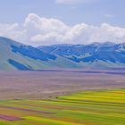 Von Castelluccio di Norcia ins Tal