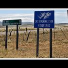 Von Cohaique nach Calafate 01