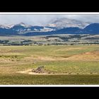 Von Cohaique nach Calafate 02