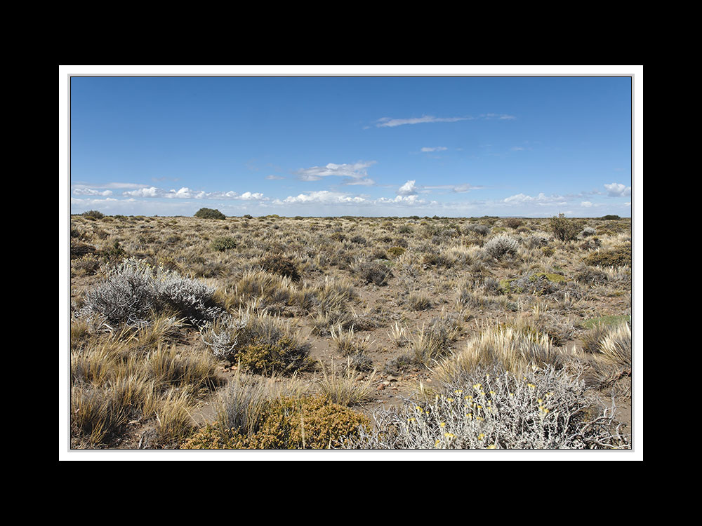 Von Cohaique nach Calafate 04