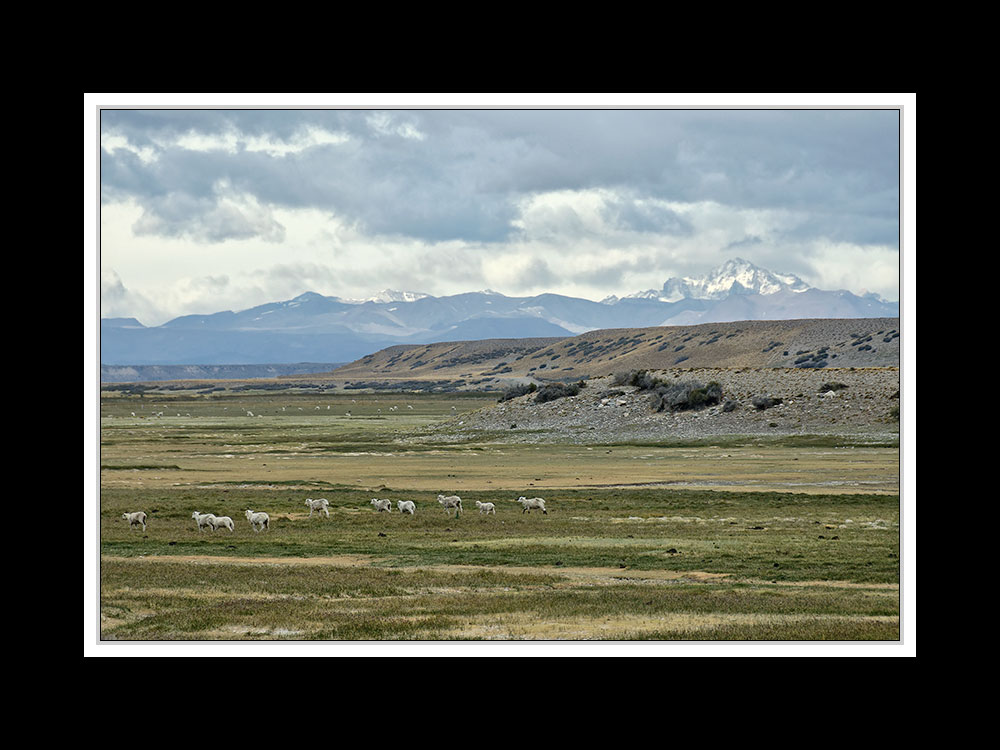 Von Cohaique nach Calafate 06