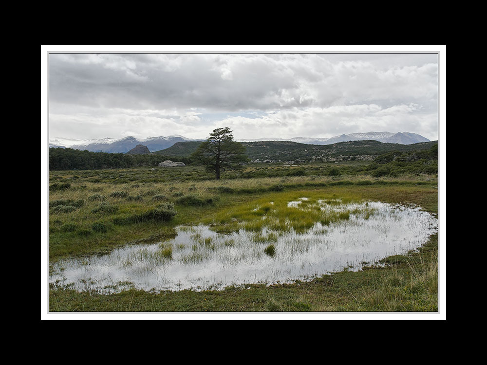 Von Cohaique nach Calafate 25