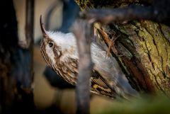 "Von da an ging's wieder Aufwärts"