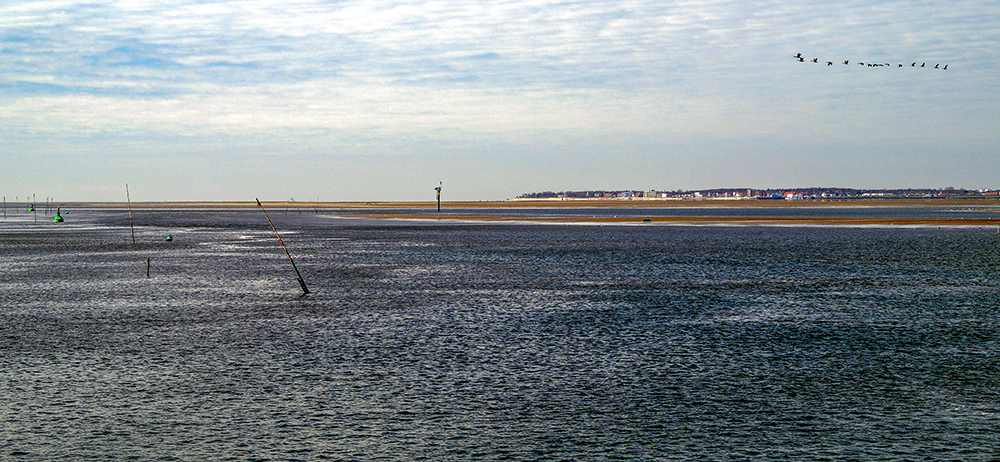 Von Dagebüll nach Föhr