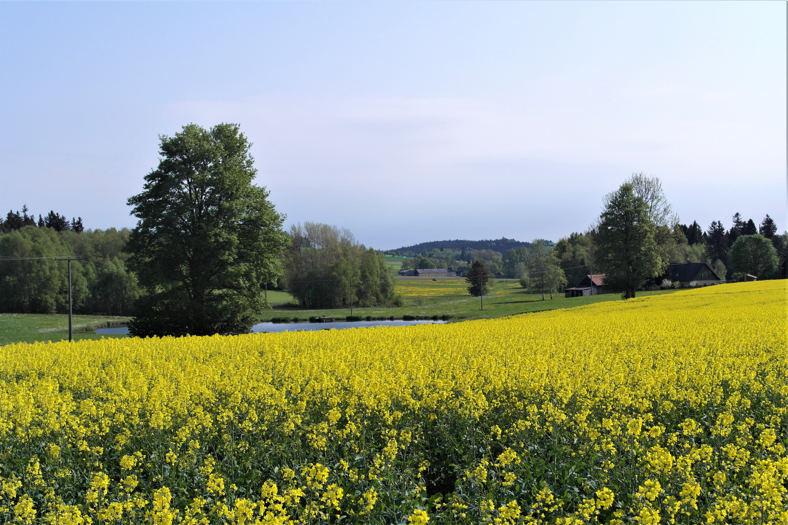 Von daheim Blick Richtung Bauernhofmuseum 