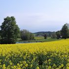 Von daheim Blick Richtung Bauernhofmuseum 