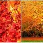 Von den 4 Jahreszeiten treibt es der Herbst am buntesten.