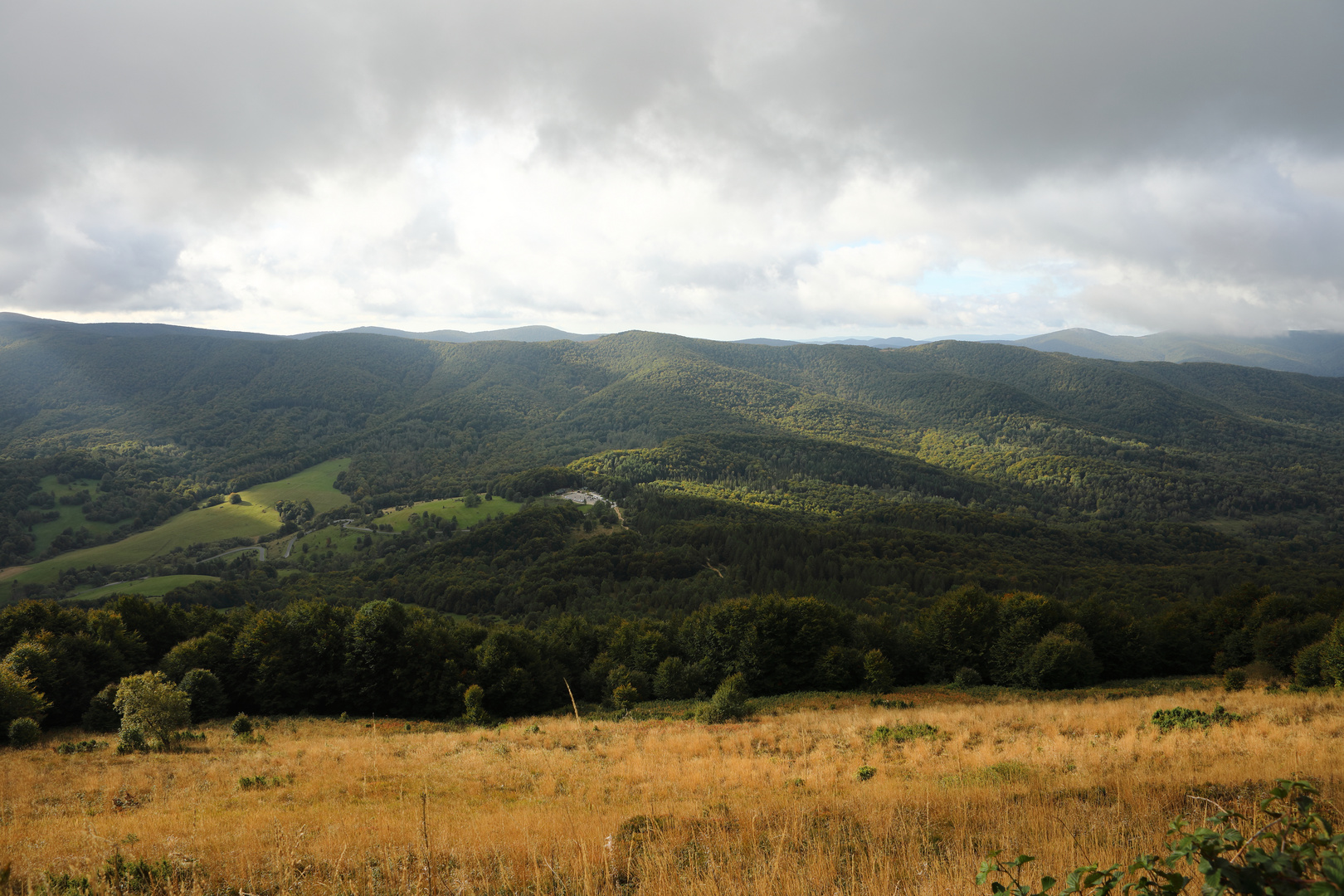 von den Almen geht der Blick auf die Buchenwälder