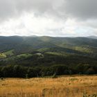 von den Almen geht der Blick auf die Buchenwälder