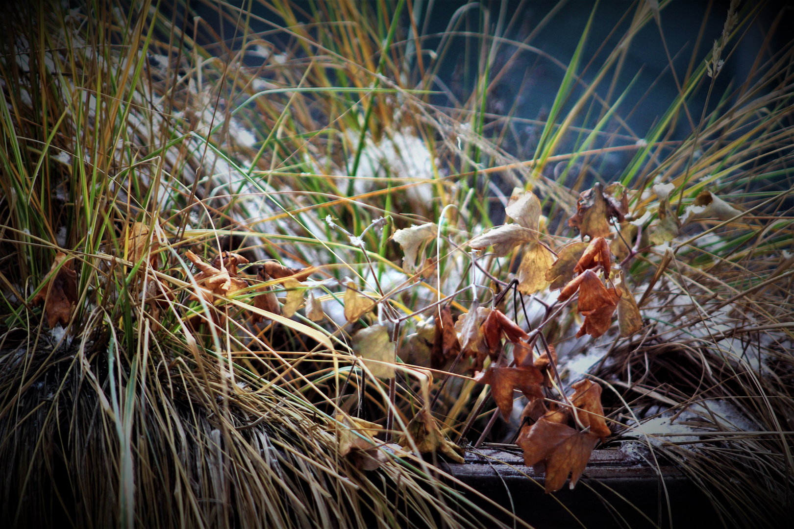 von den Farben des Winter