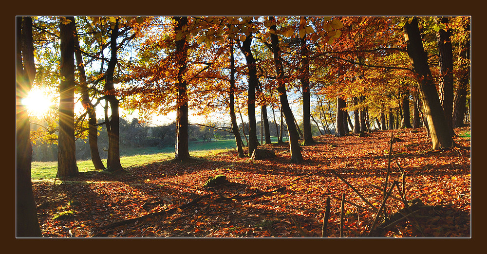 Von den Jahreszeiten treibt es der Herbst am buntesten