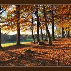 Von den Jahreszeiten treibt es der Herbst am buntesten